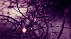 Neuronal Synapse Activity Zoom Real Animation inside the Human Brain