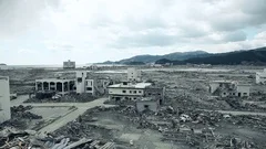 Tsunami :  04/30/2011 Fukushima japan