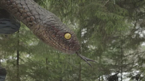 08 Dec 2024, Bukovel, Ukraine. Moving artificial snake sculpture Video stock 294880253
