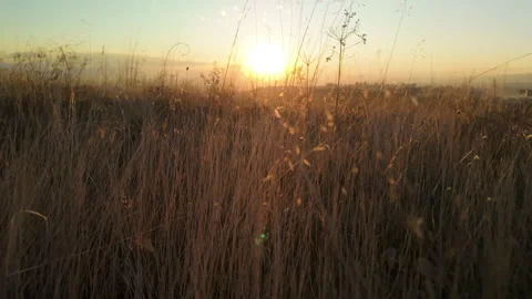 08 Slomo walking through dry withered autumn grass at sunset 스톡 동영상 289406119