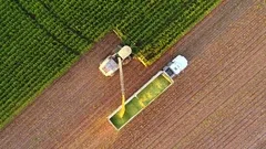 Tractors and farm machines harvesting corn in Autumn