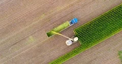 Agricultural machine and semi truck harvesting corn in Autumn