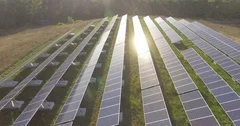 Alternative Power Solar Energy Farm at Utility-Scale Electric Plant