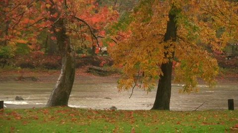 0804-B02 - Fall Foliage  River  Rain Stock Footage 266688