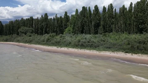 081 Video stock 246089617