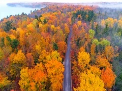 Aerial view of country road through breathtaking Autumn colors