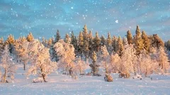 Seamless loop - Snow falling on a snowy winter forest landscape, Saariselka,
