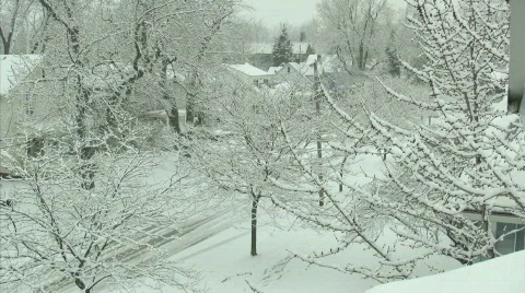 0819-01t Stock Footage 185820