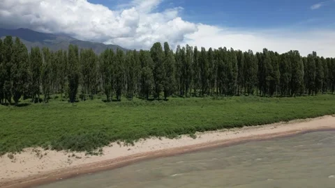 082 Video stock 246089788