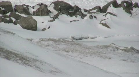 0820-29 - MOS Stock Footage 237541