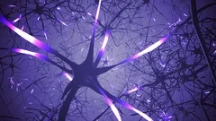 Neurons in brain. 3D looping animation of neural network.