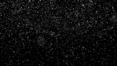 Whether background of snowfall Isolated on black (luma matte). Seamless looped
