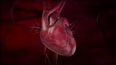 Heart beating fast. Animation with sound.