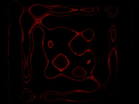 083-00 Video stock 5743764