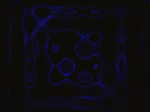 083-01 Stock Footage 5503123