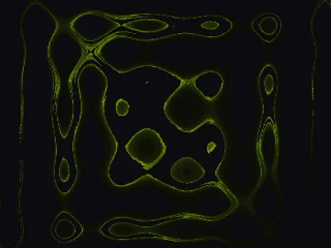 083-02 Stock Footage 5503154