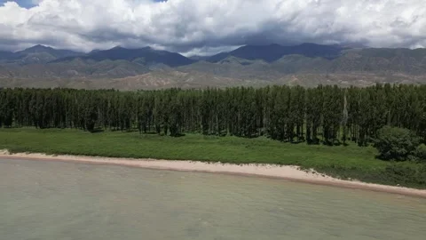 083 Video stock 246089792