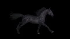 Horse Gallop - Black Mustang - Side View - Transparent Loop - 4K