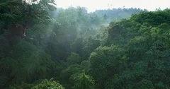 Aerial view of foggy rainforest. Flight over of jungle