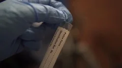 DNA Blood Sample Swab Collected At Crime Scene Placed In Evidence, CSI Forensics