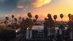 Aerial flying over row of palm trees in Hollywood revealing city of LA at sunset