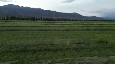 087 Video stock 246089925