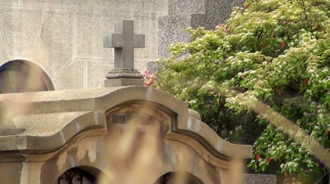 0870 Light wind at cemetery Stock Footage 35064299