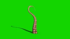 1 Tentacle Monster Octopus Attack Green Screen 3D Rendering Animation