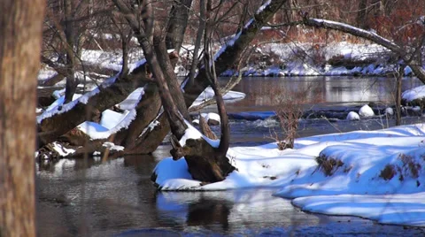 0888 Cold winter Stock Footage 34318509
