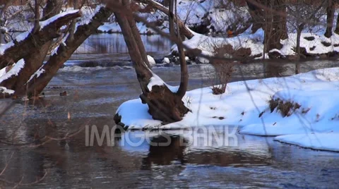 0889 Snow in the Forest Stock Footage 33668153