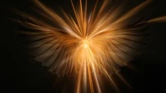 Angel wings in bright light on black background Cinemagraph