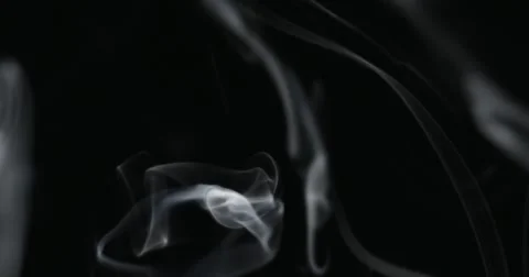 08_WhiteSmoke_BurningOnBlack2 Video stock 52968690