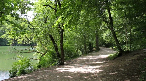 09 Idyllic forest path by a lake Stock Footage 39063131