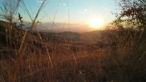 09 Slomo walking through dry withered autumn grass on mountains at sunset 스톡 동영상 289405992