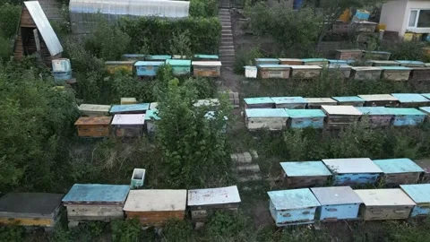 090 Video stock 246090700