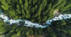 Drone Flyover Blue River Rapids Spring Flowing Above Old Growth Forest Trees