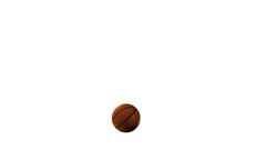 Bouncing Basketball. Looped. Alpha Channel Included.