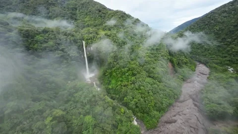 091 Machay Waterfall cloud forest, Andes, Ecuador Vídeo Stock 277657273