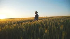 Happy farmer stands in the wheat field, and bring up to the bright sky his hands