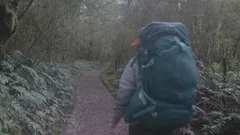 Woman with backpack walks into the forest on Milford Track