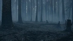 Dark smoky forest after fire