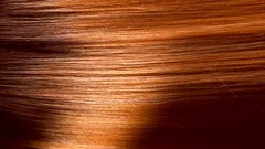 Hair. Beautiful healthy long smooth flowing brown hair closeup texture