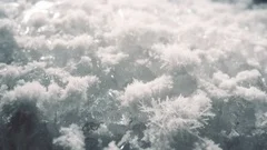 breathtaking ice crystals growing, timelapse of snow crystals