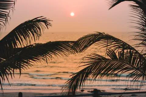 Panorama  landscape  view  of  a  beautiful  tropical  sea  beach  in  sunset  time  during  christmas  holiday.  (  MUMBAI,  MAHARASTRA,  INDIA).  Travel  vacation  and  holiday  concept. xkwx silhouette,  vacation,  sunrise,  resort,  summer,  sun,  sky,  paradise,  palm-tree,  travel,  coconut,  orange,  nature,  exotic,  dusk,  trees,  yellow,  island,  ocean,  evening,  background,  light,  twilight,  sunlight,  scenery,  tranquil,  scene,  water,  leaf,  sundown,  golden,  caribbean,  maldives,  tropic,  coastal-sand,  thailand,  holiday,  colorful,  shore-coast,  asia,  lagoon,  miami,  hawaii,  islands,  bali,  morning,  lucia,  bahamas,  jamaica,  wave