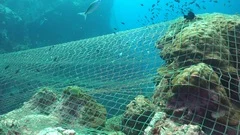 Fishing nets over coral