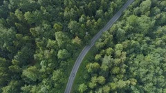 AERIAL: Flying high above a car driving along a road leading through the woods.
