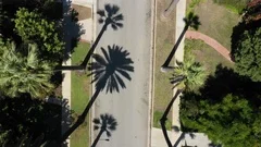 Lovely street in Beverly Hills seen by a drone flyover