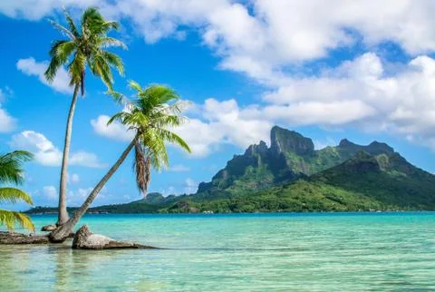 Tropical Paradise of Bora Bora xkwx nature, sea, travel, water, landscape, sky, island, tropical, beach, blue, ocean, vacation, beautiful, tourism, panorama, tree, bay, outdoor, coast, palm, resort, view, holiday, scenic, Overwatervilla, Overwaterbungalow, Mount Otemanu, Otemanu, borabora, Bora Bora, French Polynesia, Tahiti, Polynesia, Paradise, Lagoon, Blue lagoon