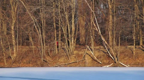 0968 Winter at the lake Stock Footage 34342779