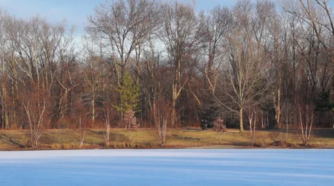 0969 Winter at the lake Video stock 34336832